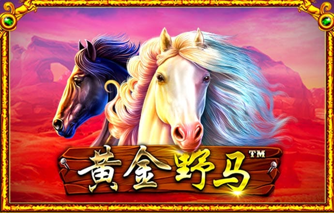 期期中app官方正版下载