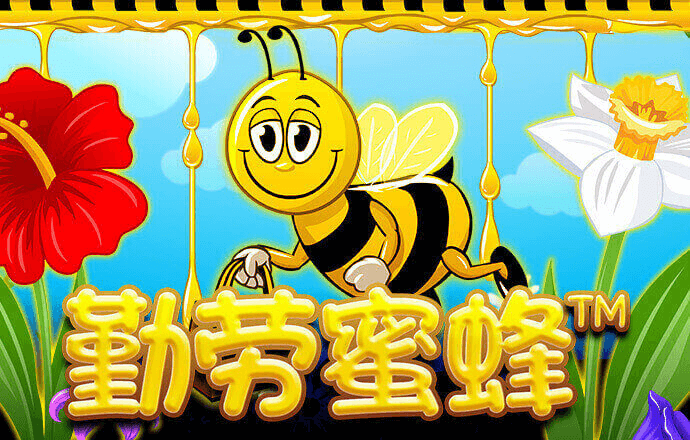 kaiyun登录入口登录